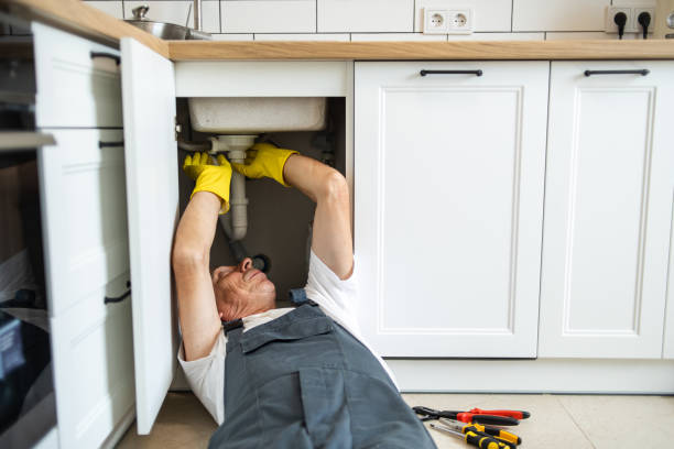 Best Plumbing Installation Services  in Berryville, AR